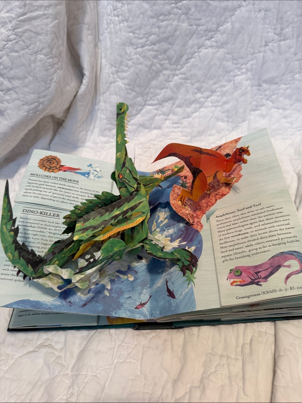 Encyclopedia Prehistorica: Sharks and Other Sea Monsters - Teal Pop-Up Book - Picture 4 of 8